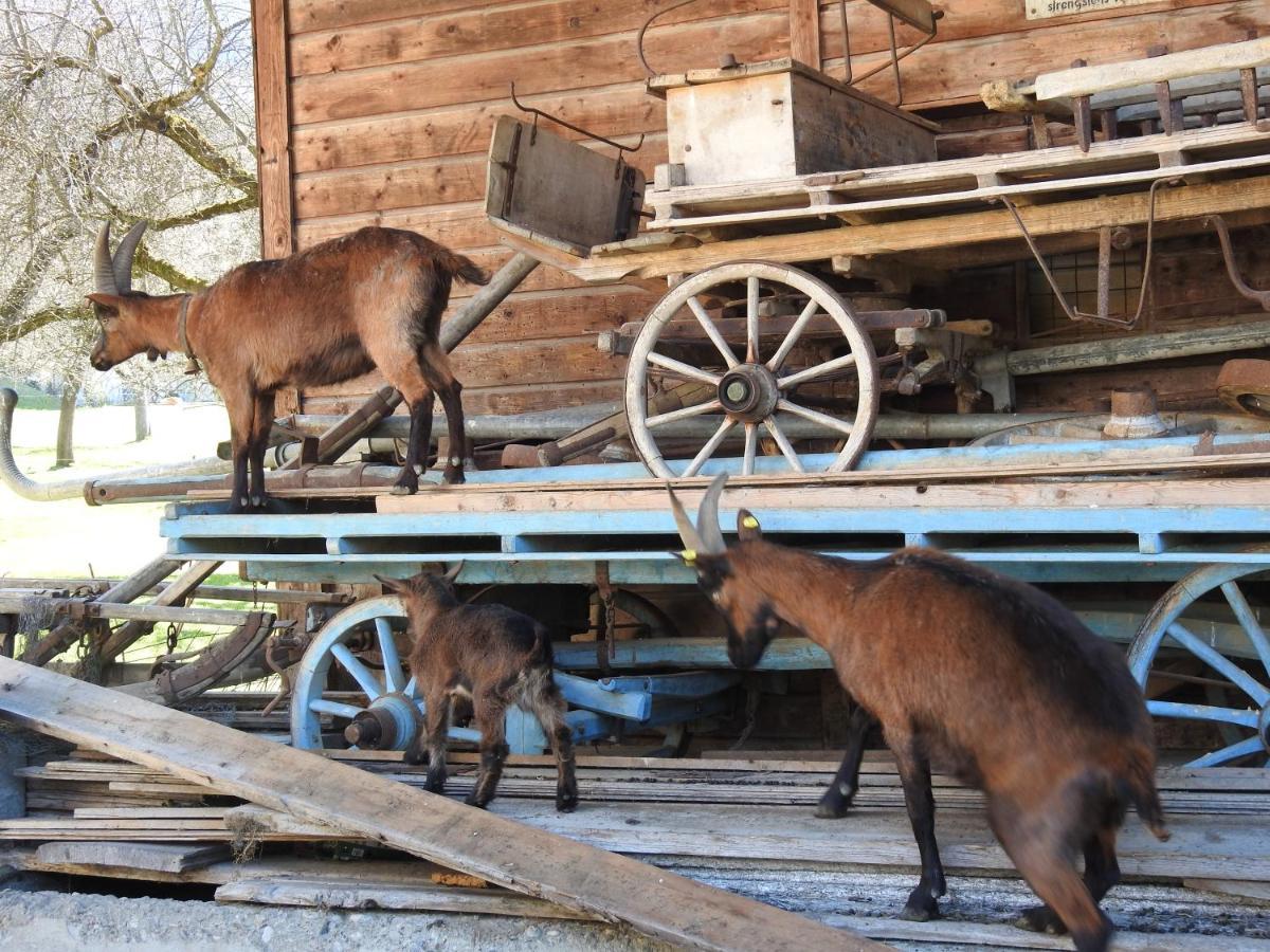 Ferienhaus Hoellwarth Stumm Zewnętrze zdjęcie